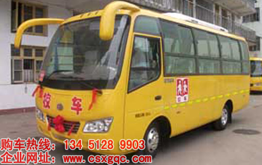 35座大力幼兒園校車小學(xué)生校車廠家直銷