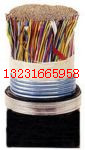 市內(nèi)通訊電纜HYV100*2*0.6報(bào)價(jià)畢經(jīng)理1323166595