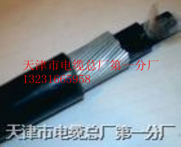 礦用控制電纜MKVV MKVV32 MKVV22價(jià)格