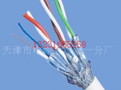 供應通訊網(wǎng)絡專用RS485通訊電纜
