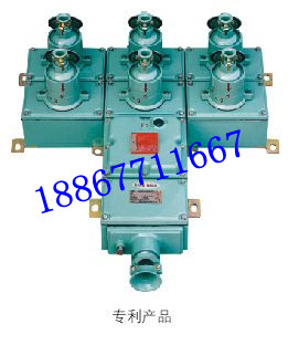 防爆配電箱 BXM系列防爆照明配電箱 動力檢修箱