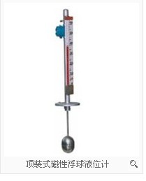 UHZ-850A/B 頂裝型磁性浮球液位計(jì)  誠(chéng)信經(jīng)營(yíng) 價(jià)格優(yōu)惠