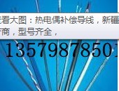 新疆壓力表YD熱電偶烏魯木齊耐震壓力表、工業(yè)熱電偶