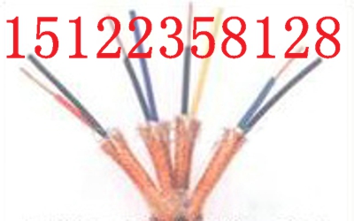 (專業(yè)生產(chǎn))信號(hào)電纜 DJVPVPR-2*2*0.5價(jià)格