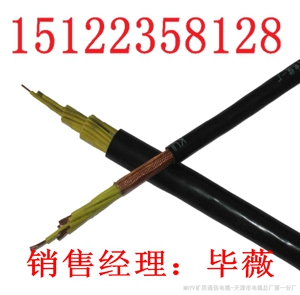 （價(jià)格）（廠家）礦用監(jiān)控電纜MHYVP-2*3.3+2*0.85廠