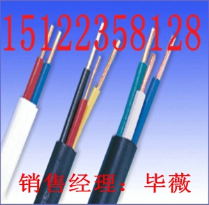 （礦用防爆通信電纜-MHYV32電纜大全 規(guī)格）價(jià)格/報(bào)價(jià)