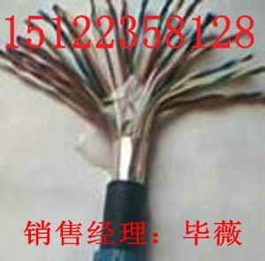 （廠家直銷電纜-（推薦產品報價）礦用防爆電纜MHYBV；礦用電纜）