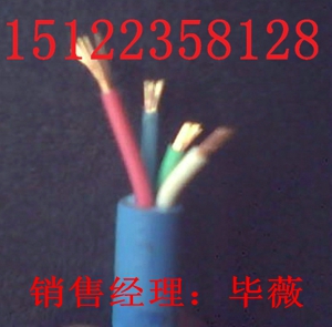 （廠家直銷電纜-（推薦產(chǎn)品報(bào)價(jià)）MHYVR礦用防爆通信電纜）（供應(yīng)