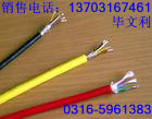 耐火阻燃計(jì)算機(jī)電纜NH-DJYVP;MH-DJYPV;NH-DJY