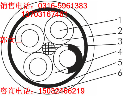 銅帶屏蔽計算機電纜DJYVP2;DJYP2VP2;DJYP2V-2