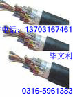 HYV HYVP 室內(nèi)用通信雙絞線 室內(nèi)電話線 HYV HYVP