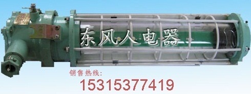 質(zhì)量上乘礦用LED巷道燈DGS24/127L(A)