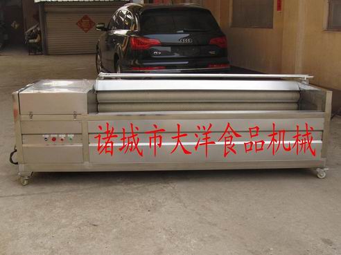 廠家熱銷毛刷清洗機(jī)|大姜清洗機(jī)|水果清洗機(jī)-大洋牌