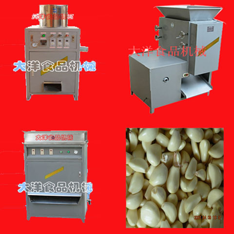 供應(yīng)大洋牌大蒜脫皮機(jī)、大蒜分瓣機(jī)，國(guó)內(nèi)知名品牌！