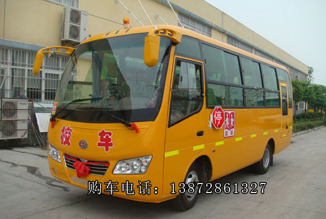 楚風(fēng)校車，楚風(fēng)校車廠家，楚風(fēng)校車多少錢