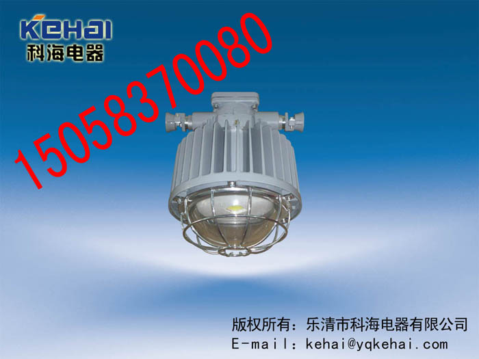 DGS50/127L(A)礦用隔爆型LED巷道燈