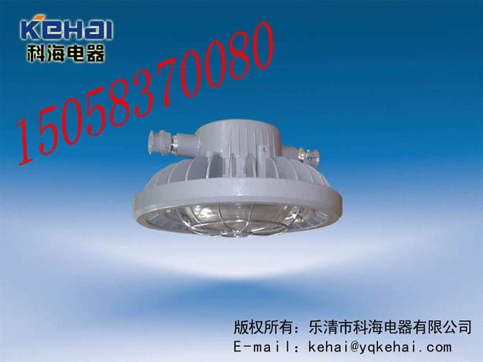 DGS70/127L(A)礦用隔爆型LED巷道燈，礦用LED巷道燈