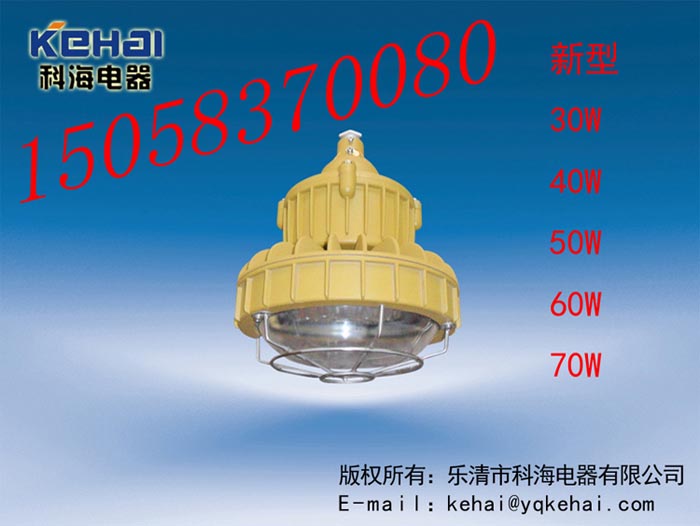 免維護(hù)LED防爆燈價(jià)格，BED-II40WLED防爆燈圖，免維護(hù)LED