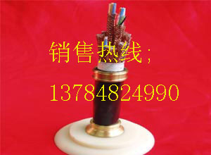 MHYVP信號(hào)電纜【天聯(lián)】報(bào)價(jià)電話0316--5962212