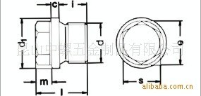 外六角法藍(lán)螺塞 DIN 910