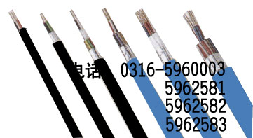 海域金屬屏蔽電力電纜廠家，海域金屬屏蔽電纜銷售