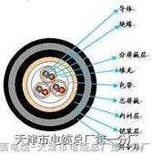 吳江阻燃485信號電纜廠家，吳江ZR485數(shù)據(jù)電纜生產(chǎn)，