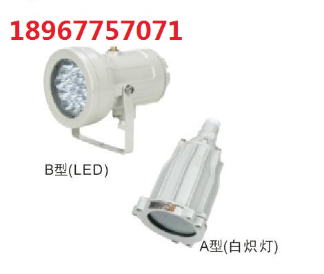 BSD-B60防爆視孔燈BSD-B40_B100