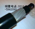 KVVP2-22電纜-鎧裝銅箔屏蔽信號電纜KVVP2-22