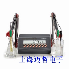 HI2550實(shí)驗(yàn)室臺(tái)式微電腦酸度計(jì)HI-2550