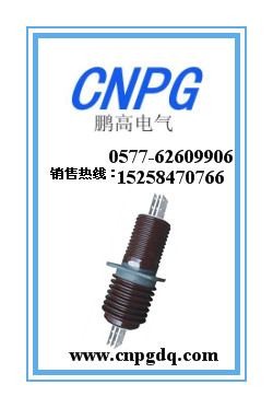 誠(chéng)信鵬高CWL-20，CWL-20