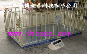 【牲畜電子平臺(tái)秤】—稱豬用的電子稱