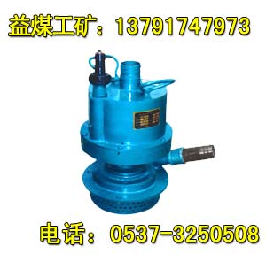 FWQB50-25風(fēng)泵, FWQB30-18風(fēng)動(dòng)渦輪潛水泵