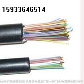 HZPVY 指令電話線HZPVY 2X0.75HZPVY 指令電話