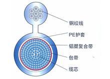 TVR彈性體吊籃線 電動(dòng)葫蘆專用電纜