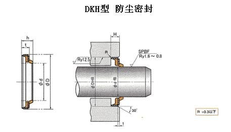 防塵DKH、dki軸往復運動密封圈-天津伊威井瑞專賣原裝進口密封圈