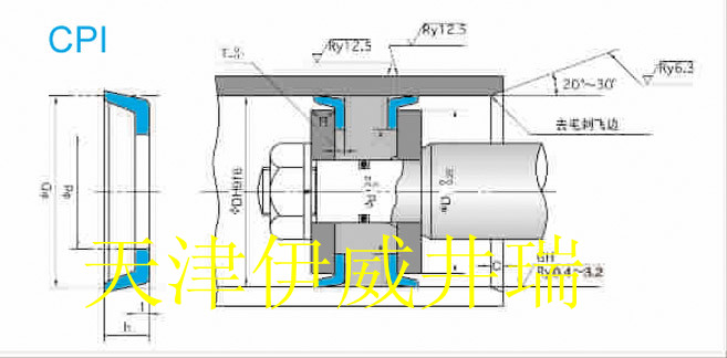 CPI密封件-活塞專用密封件-CPI標(biāo)準(zhǔn)件-nok品牌