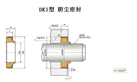 DKI往復運動防塵密封件-NOK密封件-天津伊威井瑞廠家專賣