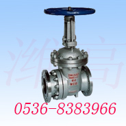 山東PZ41H/PZ941H排渣閥，電動(dòng)排渣閥NPZ41H-10C