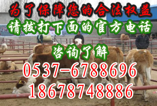 塑料袋青貯飼料方法 塑料袋青貯飼料方法 編號：65198709