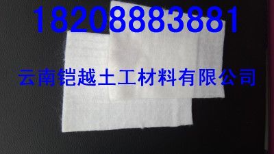 供應(yīng)云南土工布(價格)云 南鎧越保溫材料有限公司≡謝強(qiáng)(銷售經(jīng)理)