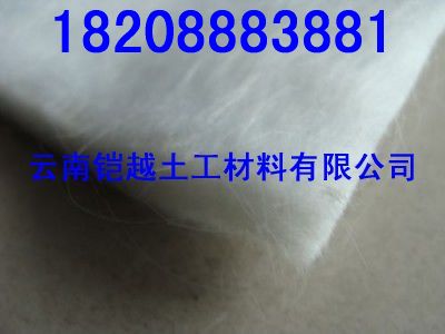 瑞麗土工布∠∠瑞麗土工布廠家((耐酸堿濾水土工布