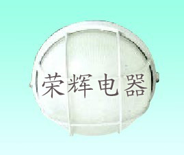 HYG7203防水環(huán)管吸頂燈