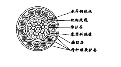 十四芯氟塑料F46絕緣特種橡膠護(hù)套馬籠頭電極電纜