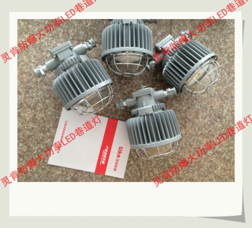 DGS50/127L,DGS50/127L(a),V