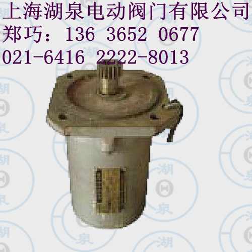 LQ電動(dòng)執(zhí)行器電機(jī)，LQ40-1電機(jī)，LQ80-1電機(jī)，LQ電機(jī)