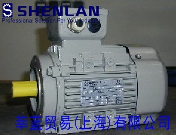 銷(xiāo)售德國(guó)AC-MOTOREN GMBH電機(jī)