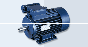 優(yōu)勢供應(yīng)德國Birkenbeul單向標準電機