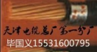 電力電力YJY32-0.6/1KV-16*2.5