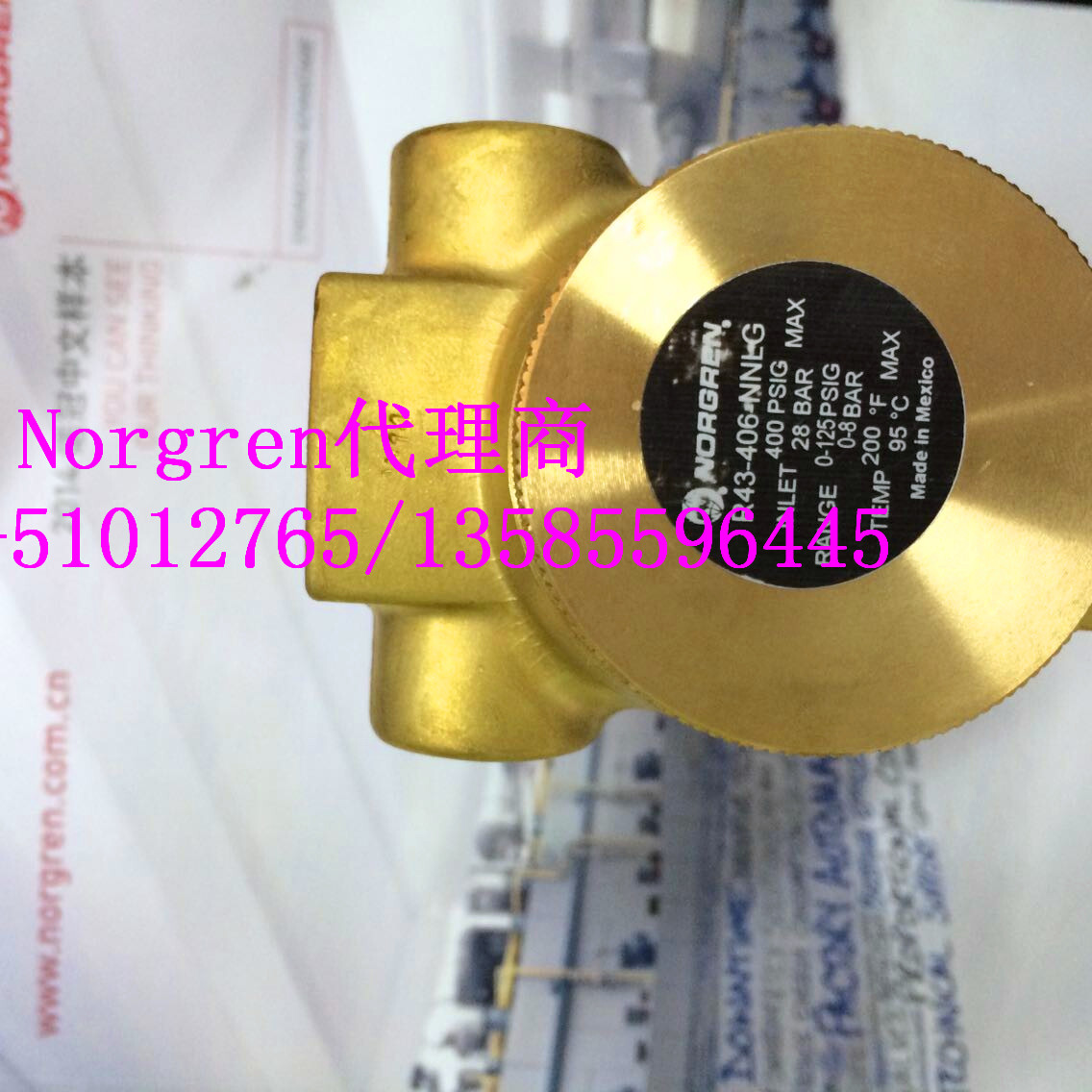 現(xiàn)貨R43-406-NNLGnorgren水閥