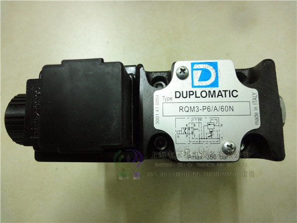 RQM3-P5/A/60N-D24K1 R늴y